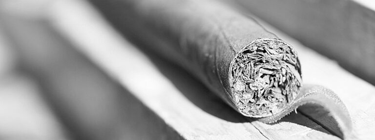 tabak walter alzey meine heimat 768x288