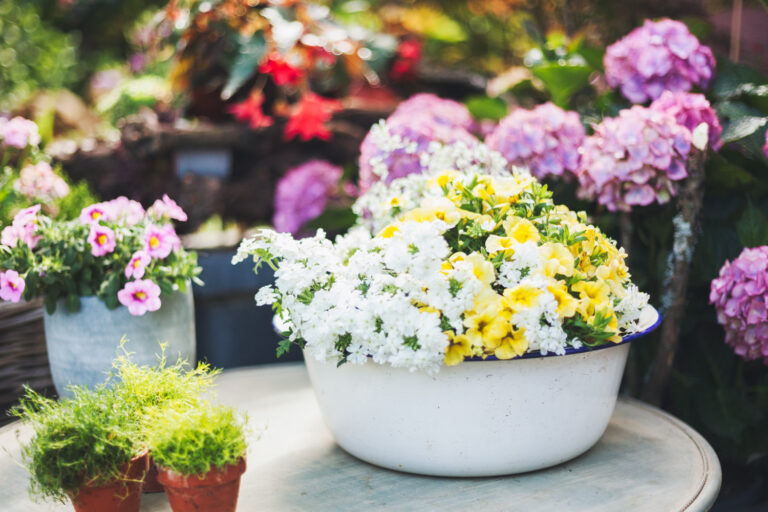 blumen und garten 04 768x512