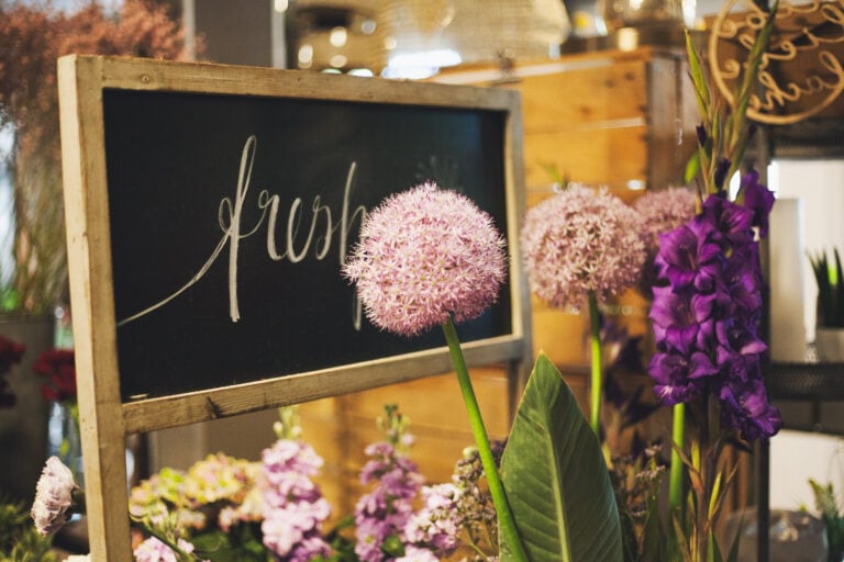 floristik wienholt 01 768x512