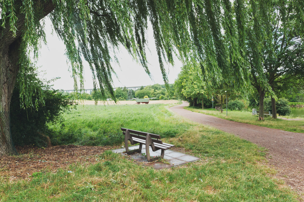 Juli bei Alzey meine Heimat